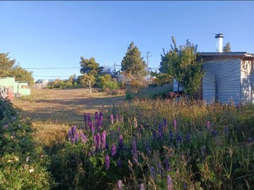 Sitio en venta en Terreno de 1.000 M en Venta Barranco Amarillo, Punta Arenas