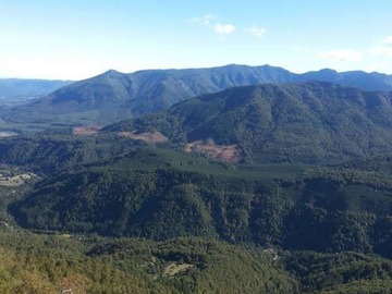 Terreno Agricola en venta en Collipulli Sector Menuco Predio Campo Lindo, Collipulli
