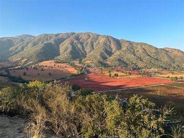 Sitio en venta en Condominio en Santa Cruz - entre Viñas Apalta, Lapostolle, Ventisqueros, Montes y Millahue, Santa Cruz