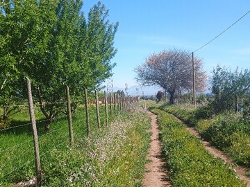 Parcela en venta en Camino a Cerrillos, Rengo