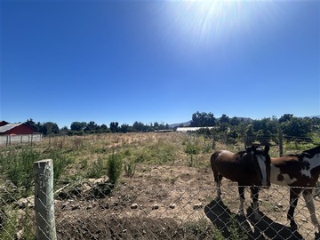 Sitio en venta en B San Juan parcela 11, Curacaví