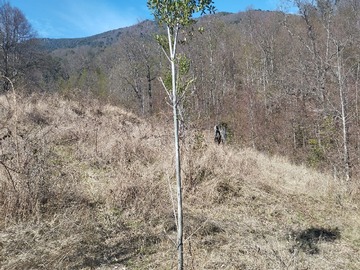 Parcela en venta en Pucón, Pucón