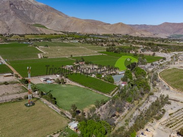 Venta / Terreno / Vicuña
