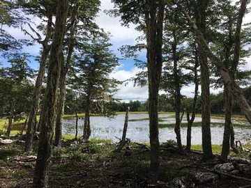 Terreno en venta en Conservación e Inversión Aysén, 1.437 há (131200), Lago Verde