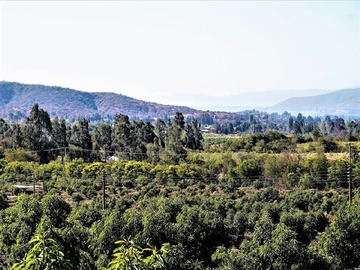 Terreno Agricola en venta en Camino a Embalse Lliu Lliu, Limache., Limache