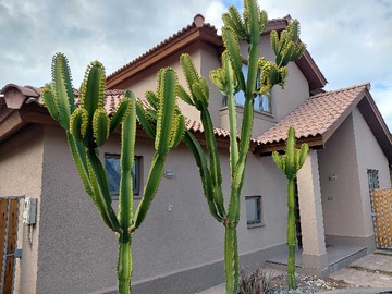 Casa en venta en Espacio y Confort en Entorno Natural (171297), Colina - 3 dormitorios, 3 baños