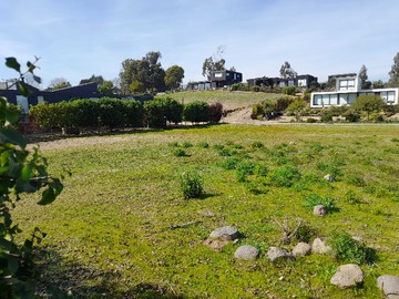 Terreno en venta en Polo Maitencillo 690 m2, Terreno Plano (175310), Puchuncaví