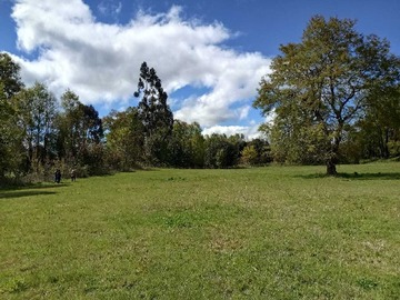 Terreno en venta en Vida Tranquila en Amplia Parcela (132733), Panguipulli