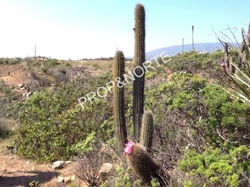 Terreno en venta en Se vende terreno en condominio mirador de los molles, La Ligua