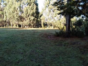 Parcela en venta en Llanquihue, Llanquihue