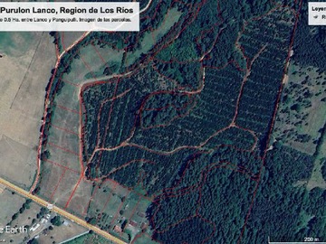 Terreno en venta en Parcela con Vistas Panorámicas (140571), Lanco