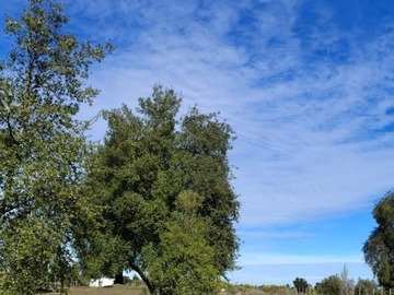 Parcela en venta en Entre Quillón y Bulnes, Quillón