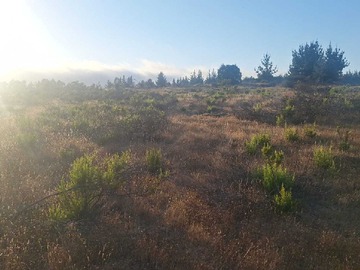 Terreno en venta en Oportunidad de Inversión en Excelente Terreno (153376), Pichilemu
