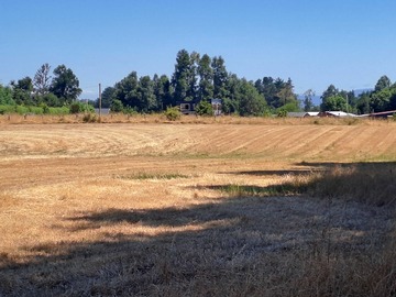 Terreno en venta en Parcela en venta a orilla ruta 203CH (176781), Panguipulli