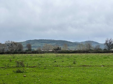 Terreno Agricola en venta en Campo Agrícola con Casa y Derechos de agua (177875), Villa Alegre