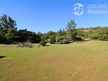Terreno Agricola en venta en Colliguay, Quilpué - 5 dormitorios, 2 baños