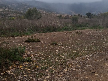 Venta / Parcela / Santa Cruz