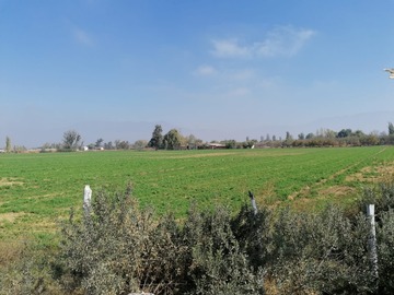 Terreno Industrial en venta en Camino Lo Echevers, Pudahuel