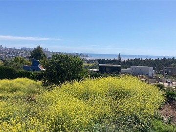Sitio en venta en Las gaviotas cerca de Lomas del Mauco, Quintero