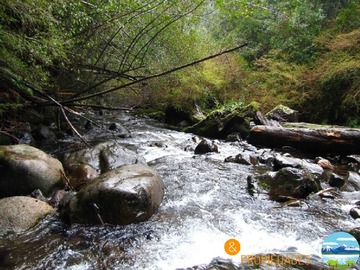 Parcela en venta en km 9 challupen, Villarrica