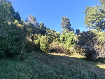 Terreno en venta en Boquial 2 Rio Bueno (174099), Río Bueno