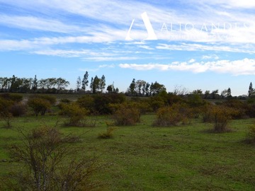 Venta / Sitio / Parral