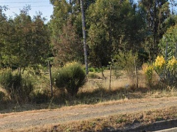 Terreno en venta en 2 Ha de Terreno Productivo en Maule (122132), Maule