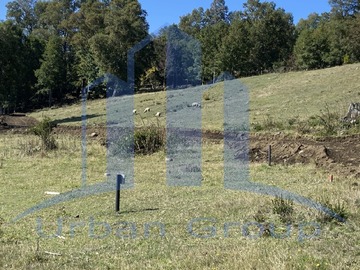 Parcela en venta en Lago calafquen - cerro pitren - a 10 min panguipulli, Panguipulli