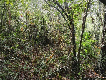 Terreno en venta en Venta 1hectárea camino villarrica a pucón (169882), Villarrica