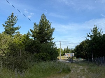 Terreno en venta en San Rosendo, Parcela, 1 Hectárea (167365), San Rosendo