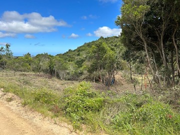 Parcela en venta en Parcela en fundo puertecillo, Navidad
