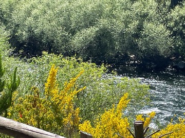 Parcela en venta en Ecoparque los cipreses, Pucón