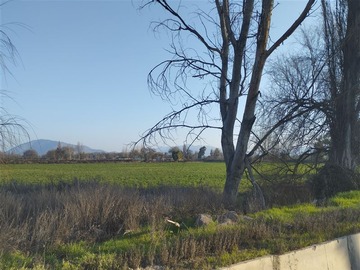 Terreno Industrial en venta en Camino Lo Boza - Camino a Noviciado, Pudahuel