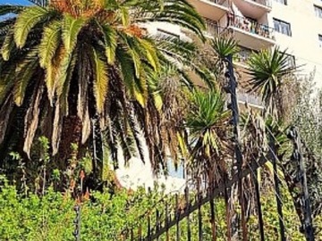 Departamento en venta en Ecuador 350, Viña del Mar - 3 dormitorios