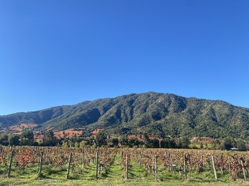 Terreno en venta en Oportunidad en Pircas de Apalta