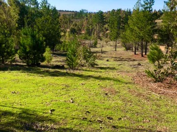 Venta / Parcela / Cauquenes