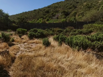 Parcela en venta en Huaquén, La Ligua
