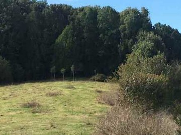 Terreno en venta en Terreno de 10000 mts posibilidad de 10000 (93102), Llanquihue