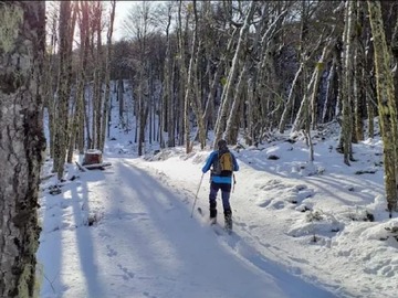 Terreno Agricola en venta en El fraile, Coyhaique