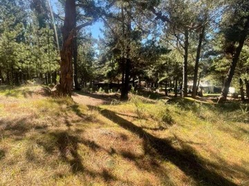 Terreno en venta en Parcela con casa en Laguna Verde, Valpo (146301), Valparaíso - 2 dormitorios, 1 baño