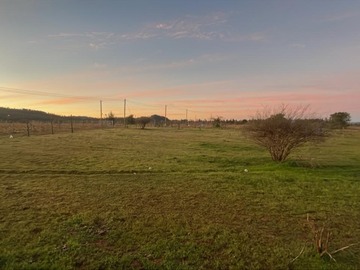 Terreno Agricola en venta en Lote a nilahue alto, Lolol