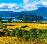 Parcela en venta en Islote rupanco, Puerto Octay