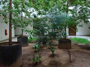 Departamento en venta en Moderno, Elegante (172149), Ñuñoa - 3 dormitorios, 2 baños