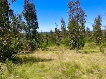 Parcela en venta en Panilongo, Paredones