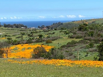 Terreno en venta en Terreno 40 Ha. para proyecto inmobiliario desarrollo urbano de sitios de 1.000m2 // Con Con, Quintero