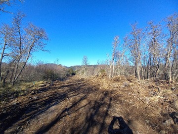 Terreno en venta en Sitios orilla de carretera, cercano a Corralco (182440), Lonquimay