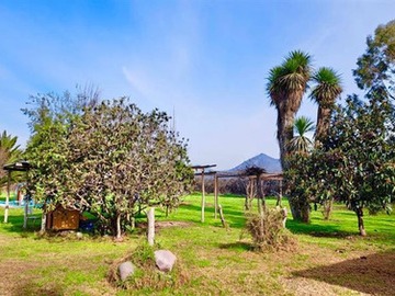 Parcela en venta en Parcela en venta en peñaflor 5.000 m2, Peñaflor - 3 dormitorios, 2 baños