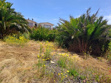 Terreno en venta en Los sauces, Zapallar