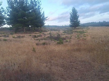Terreno en venta en Inversión Perfecta en Zona de Crecimiento (153401), Pichilemu