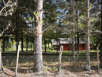 Casa en venta en Venta de casa con recepción en ñancul (161126), Villarrica - 2 dormitorios, 1 baño
